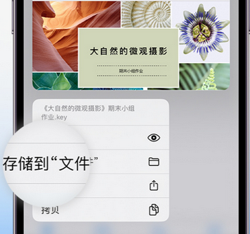 增城apple维修中心分享iPhone文件应用中存储和找到下载文件