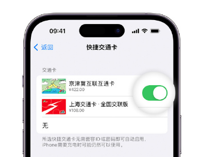 增城apple维修点分享iPhone上更换Apple Pay快捷交通卡手绘卡面 