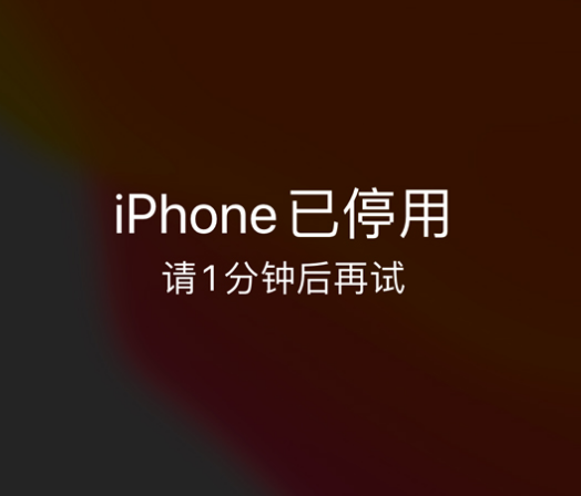 增城苹果手机维修分享:iPhone 显示“不可用”或“已停用”怎么办？还能保留数据吗？ 