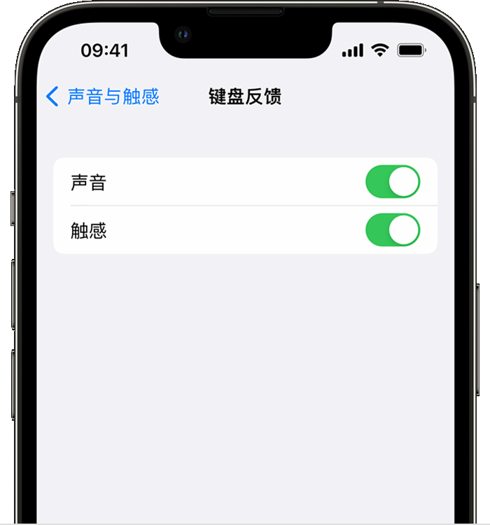 增城苹果14维修店分享如何在 iPhone 14 机型中使用触感键盘 