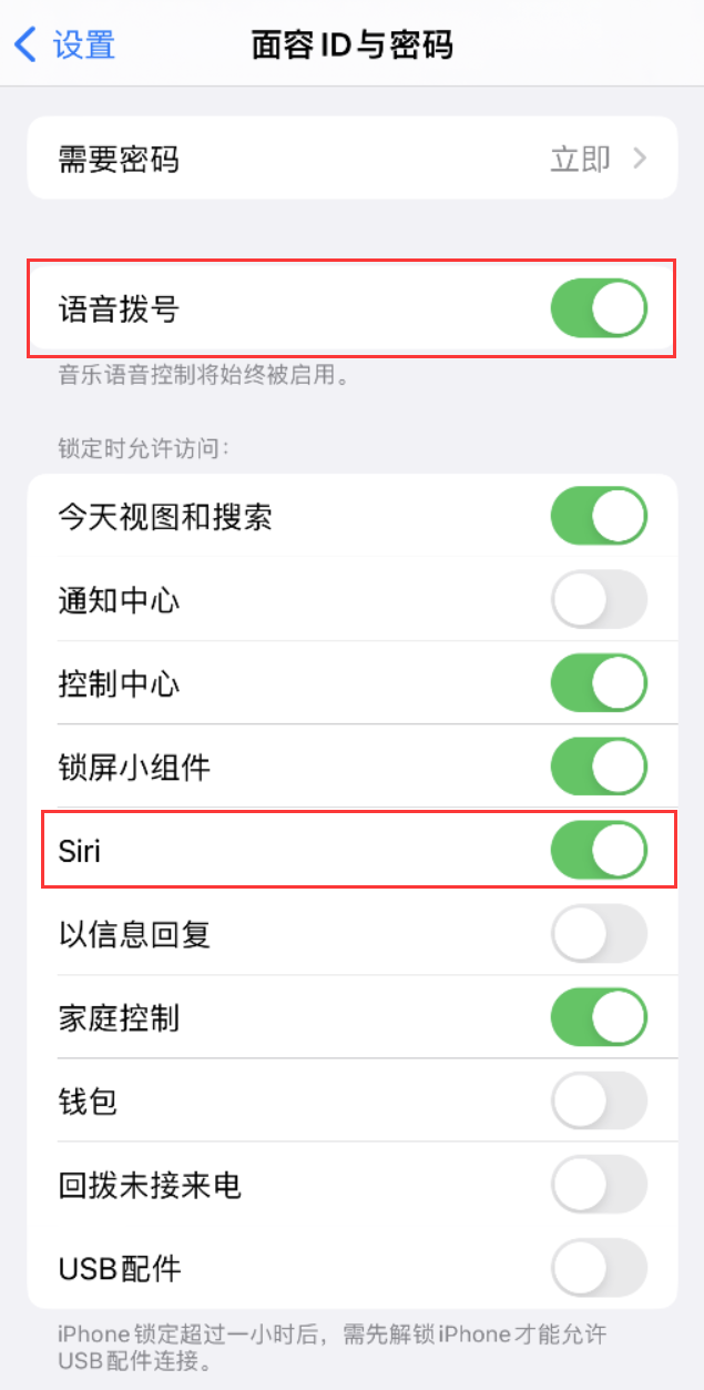 增城苹果维修网点分享不解锁 iPhone 的情况下通过 Siri 拨打电话的方法 