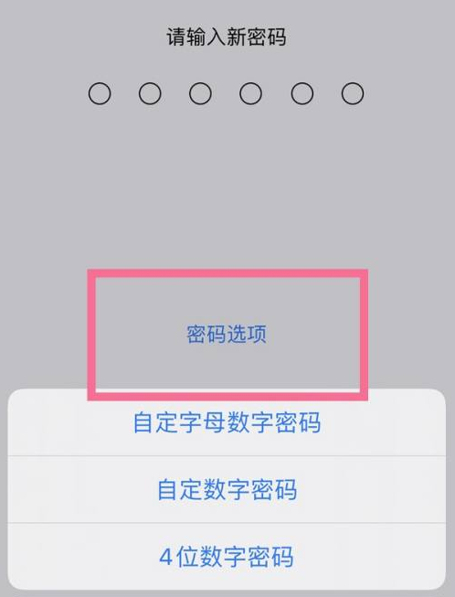 增城苹果14维修分享iPhone 14plus设置密码的方法 