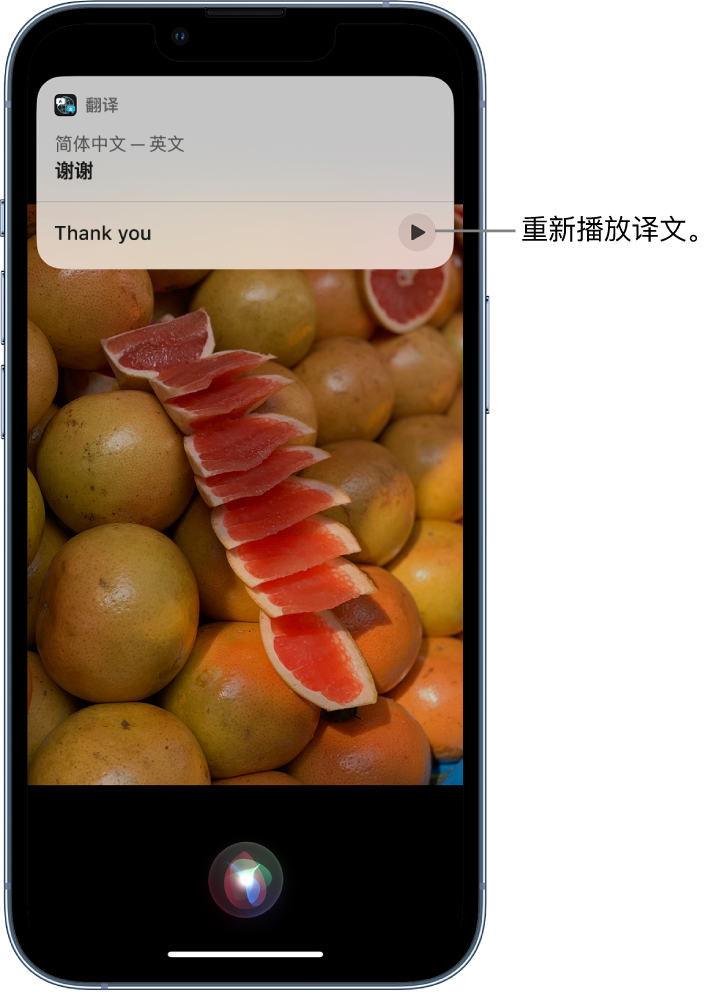 增城苹果14维修分享 iPhone 14 机型中使用 Siri：了解 Siri 能帮你做什么 