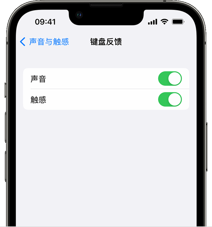 增城苹果14维修分享iPhone 14 系列机型如何开启键盘声音或触感反馈 