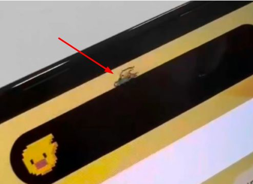 增城苹果14维修分享iPhone 14 Pro Max灵动岛怎么养宠物 