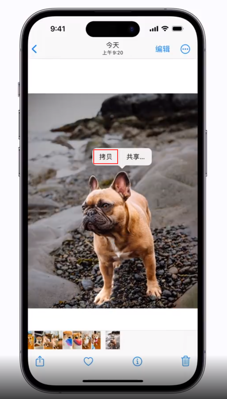 增城苹果手机维修分享 iOS 16 自带一键抠图功能 