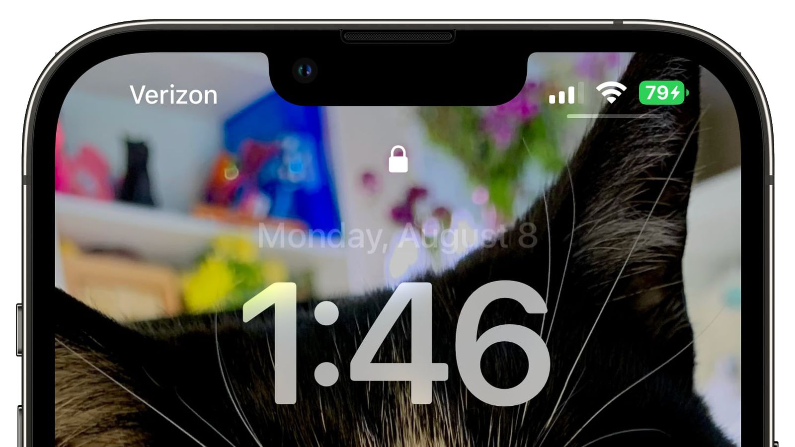 增城苹果手机维修分享iOS 16 beta 5 支持状态栏显示电池百分比，如何开启？支持哪些机型 