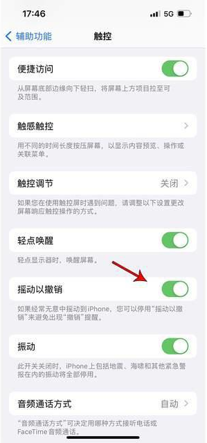 增城苹果手机维修分享iPhone手机如何设置摇一摇删除文字 