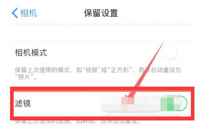 增城苹果13维修分享iPhone13拍照有绿点是怎么回事 