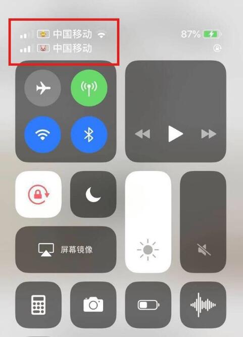 增城苹果手机维修分享为 iPhone 12 双卡设置标签 